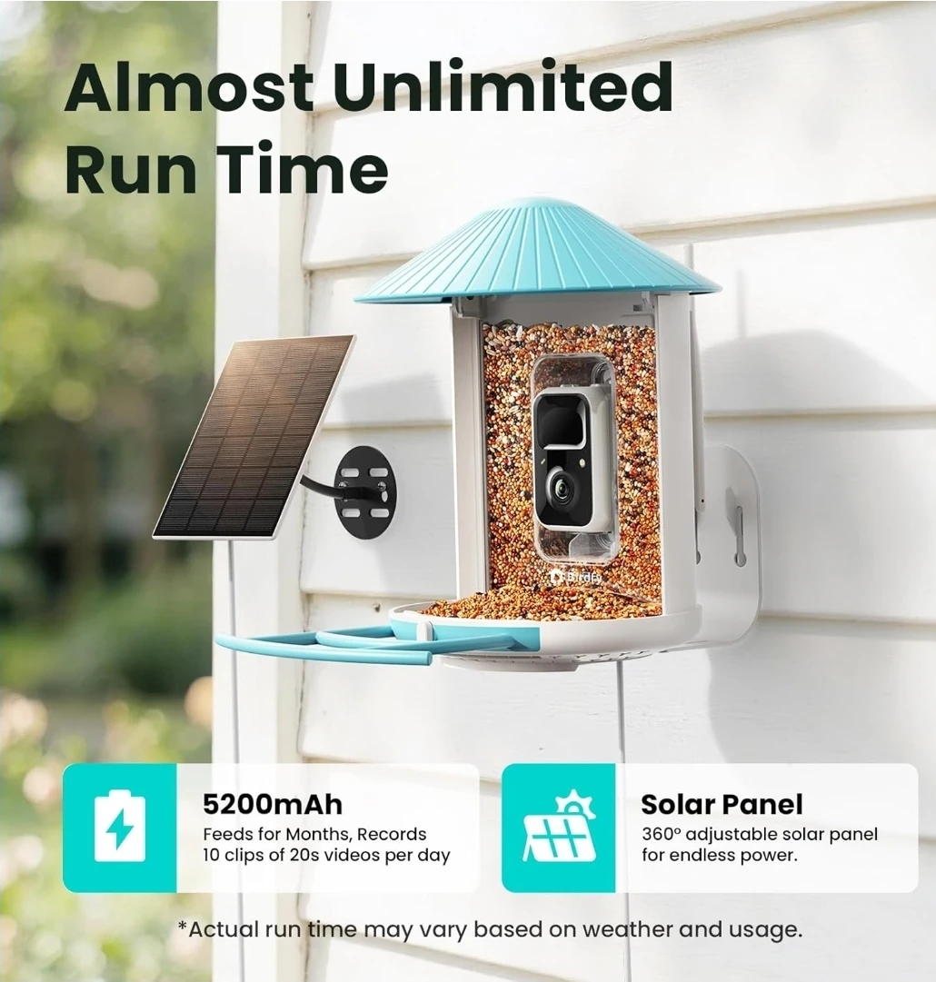 Birdfy Smart Bird Feeder with Camera and Solar Panel