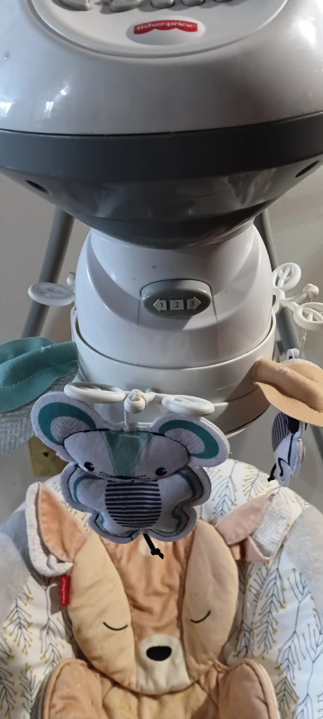 Fisher-Price Baby Swing - photo 3