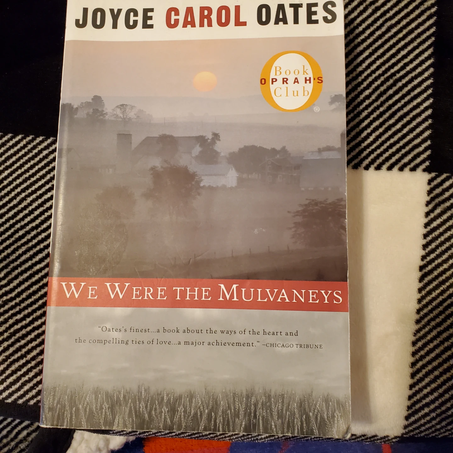 We Were The Mulvaneys by Joyce Carol Oates "🏆"