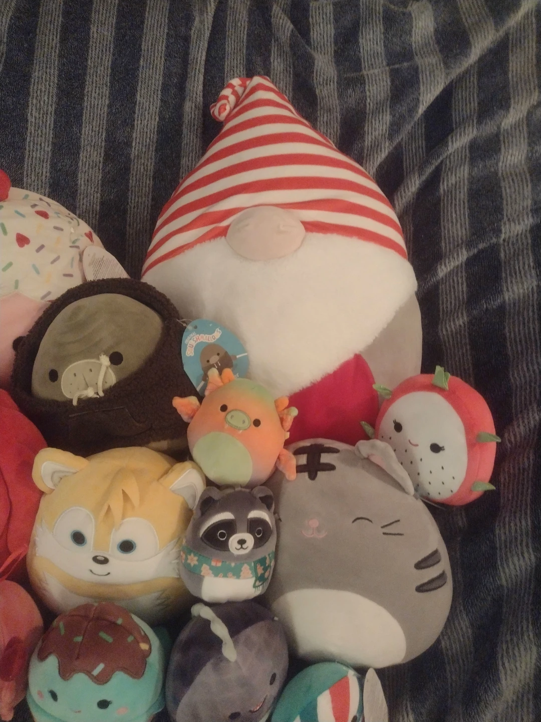 Squishmallow Lot - photo 2