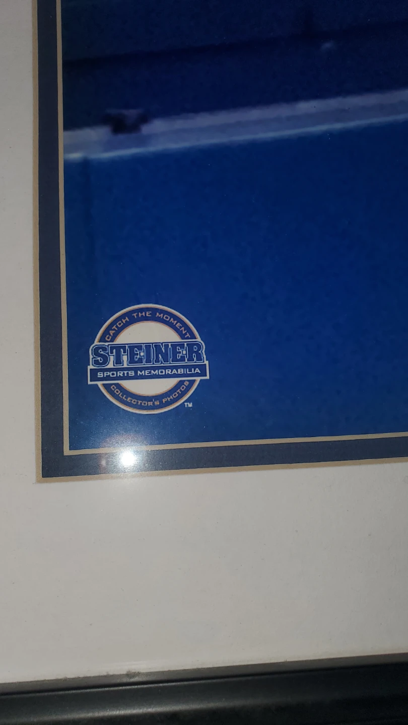 Steiner Sports "The Dive" July 1st, 2004 - photo 5