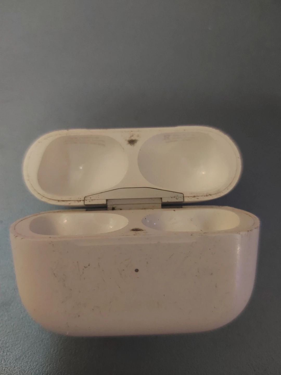 Apple AirPods Pro Charging Case