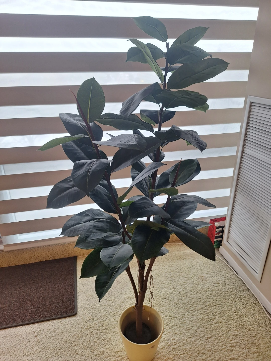 Ficus Elastica (Rubber Tree) Artificial Plant & pot - photo 2