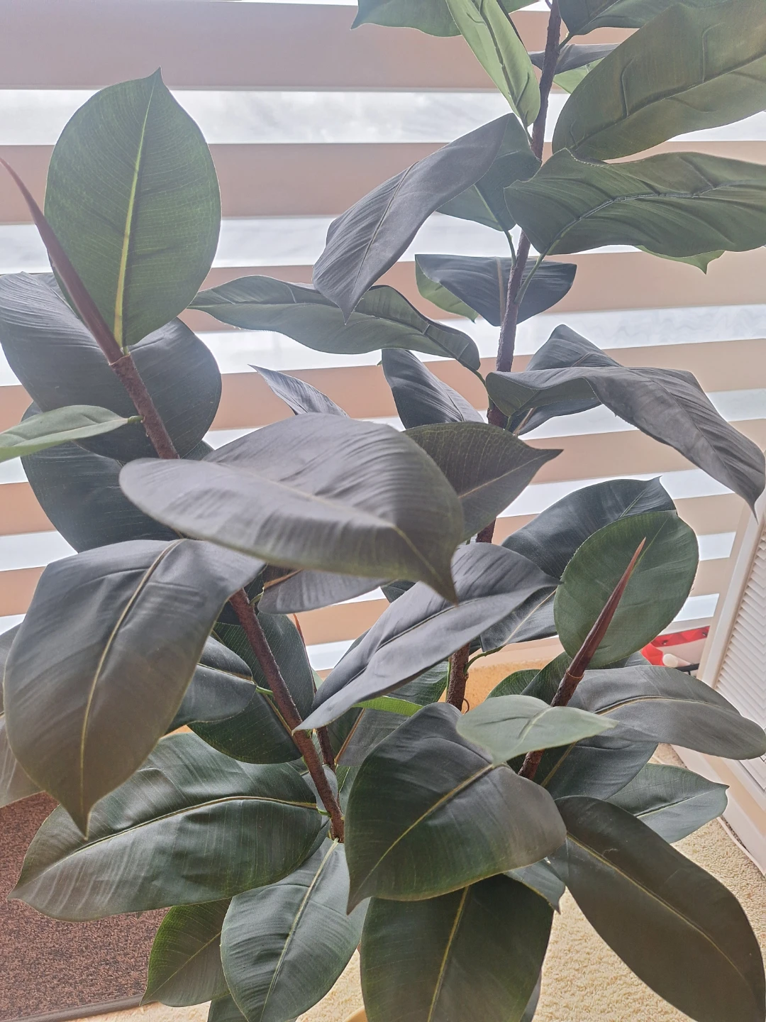 Ficus Elastica (Rubber Tree) Artificial Plant & pot - photo 3