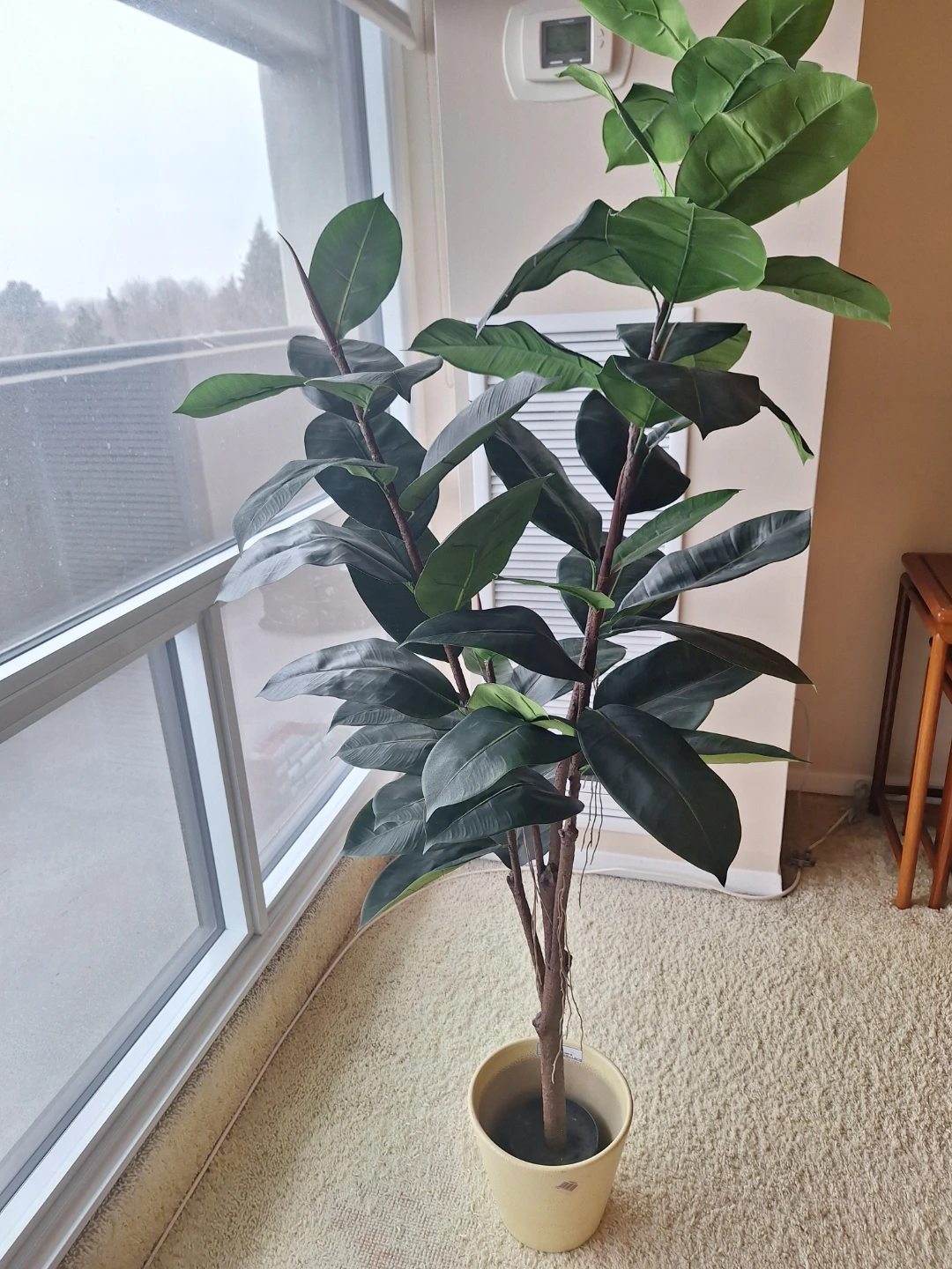 Ficus Elastica (Rubber Tree) Artificial Plant & pot - photo 4