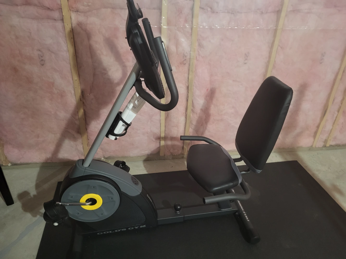 Gold's Gym Exercise Bike