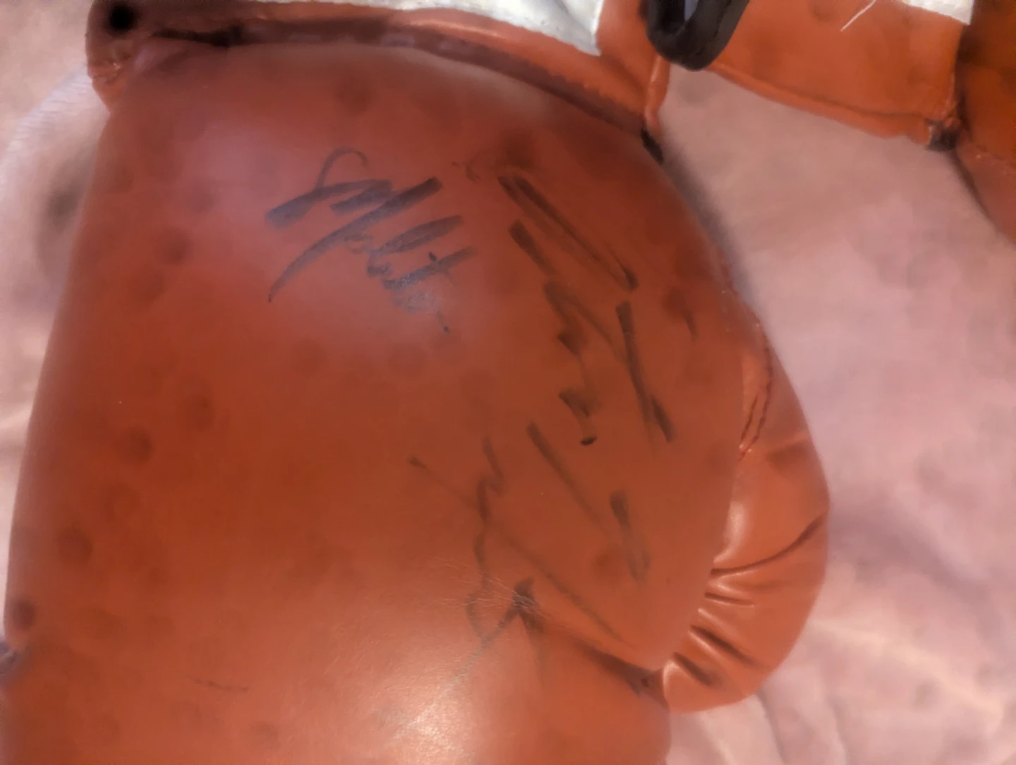 Everlast Boxing Gloves - Autographed