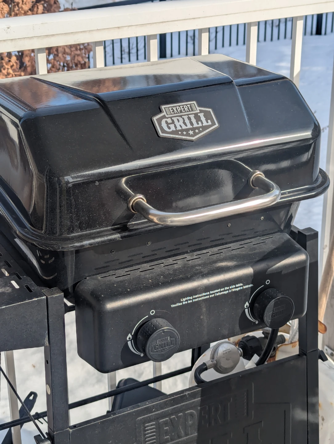 Expert Grill Propane BBQ