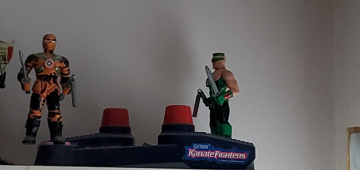 Electronic Karate Fighters Action Figures