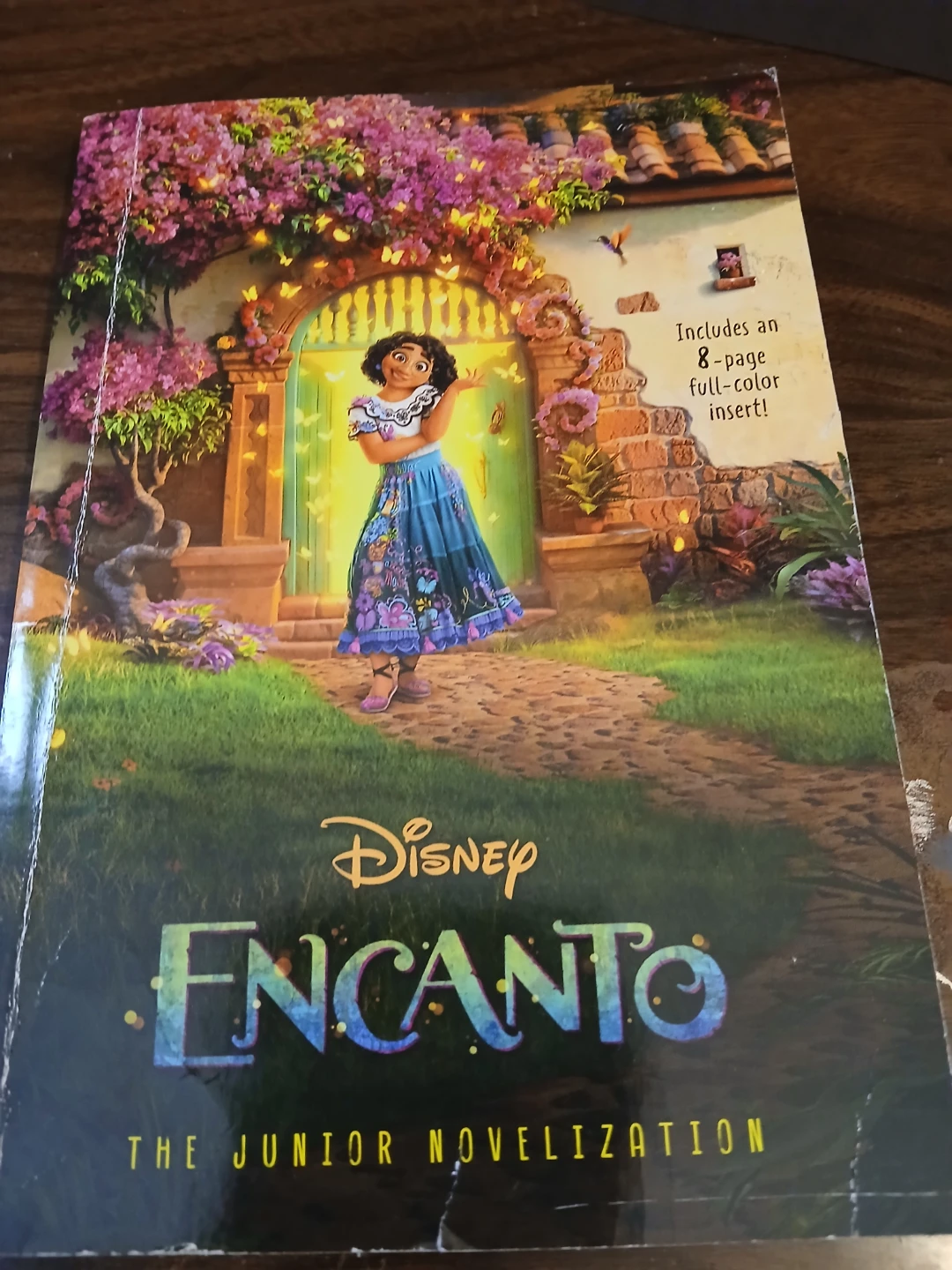 Disney Encanto The Junior Novelization Book