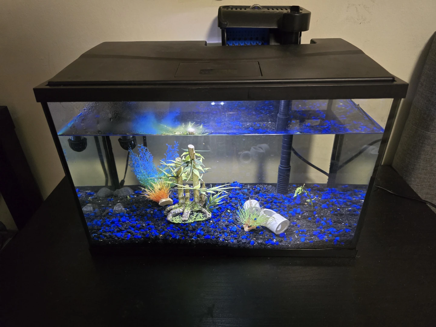 Aquarium Kit with LED Hood + Heater
