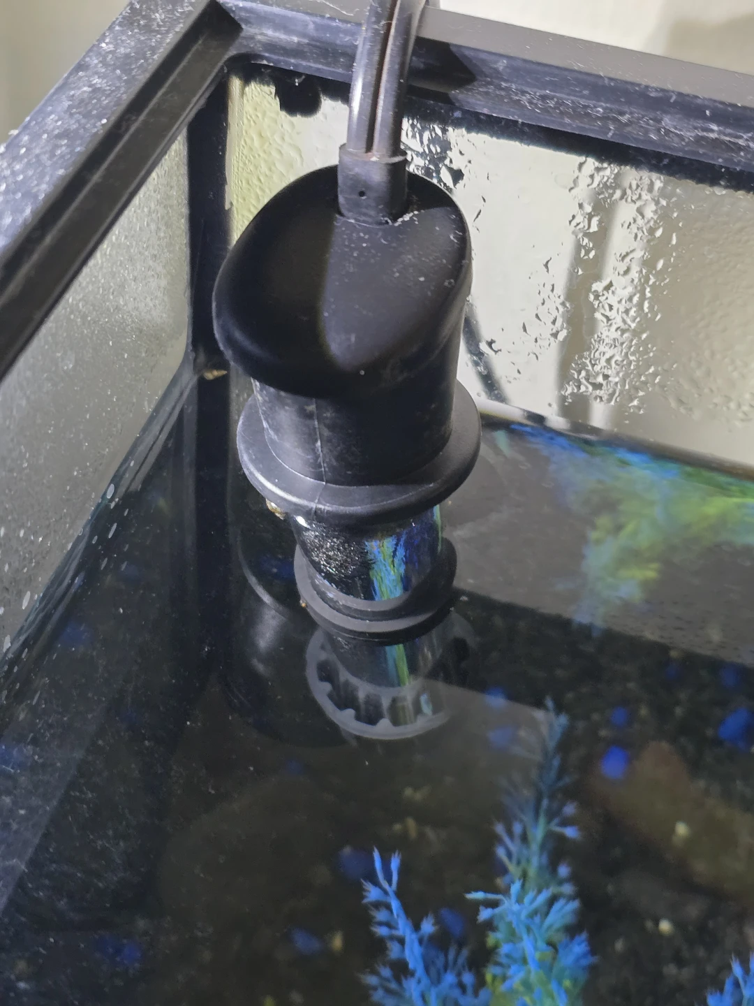 Aquarium Kit with LED Hood + Heater - photo 4