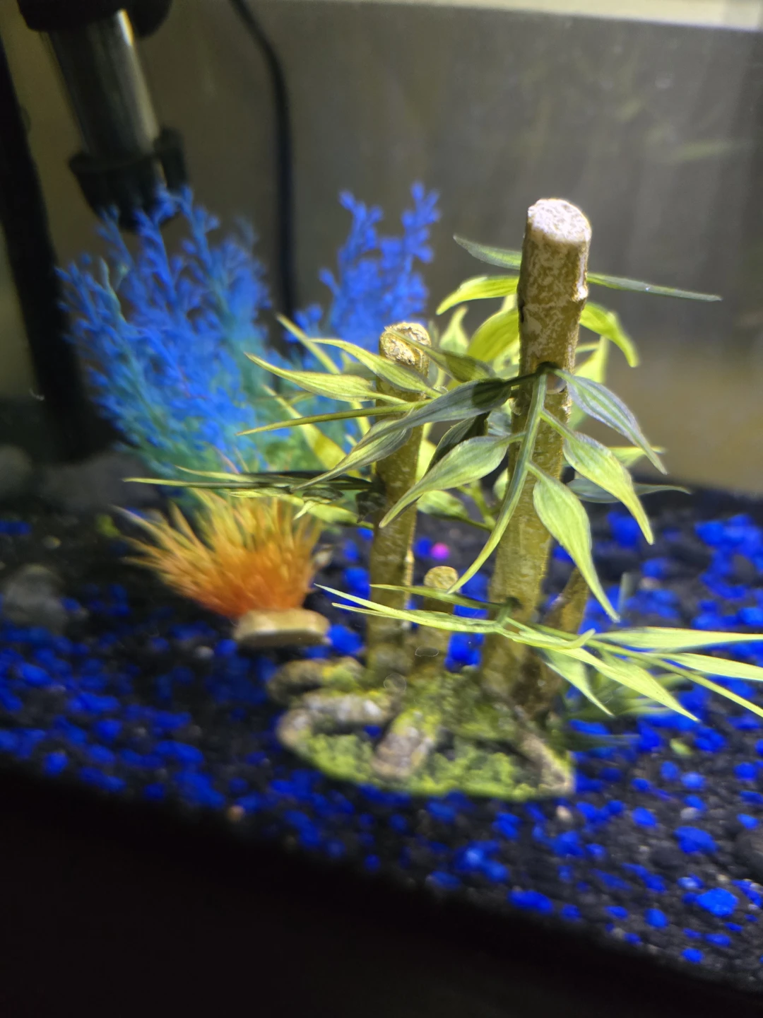 Aquarium Kit with LED Hood + Heater - photo 5
