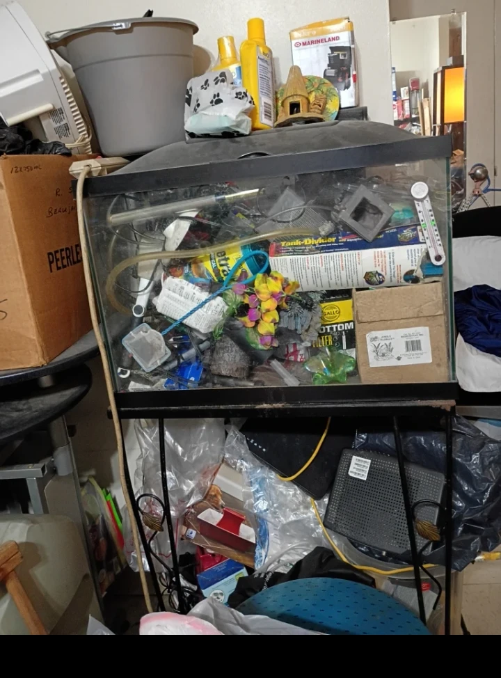 20 Gallon Fish tank with stand and all supplies