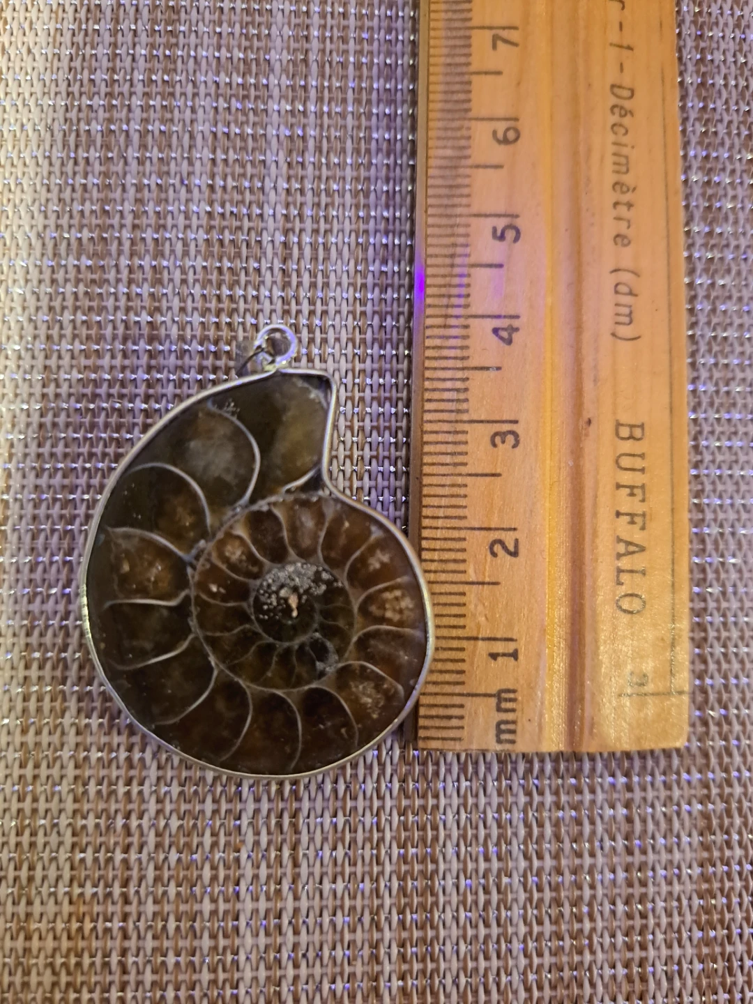 Ammonite Fossil Pendant