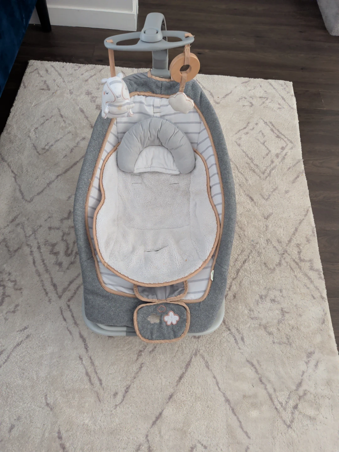 Baby Bouncer Seat