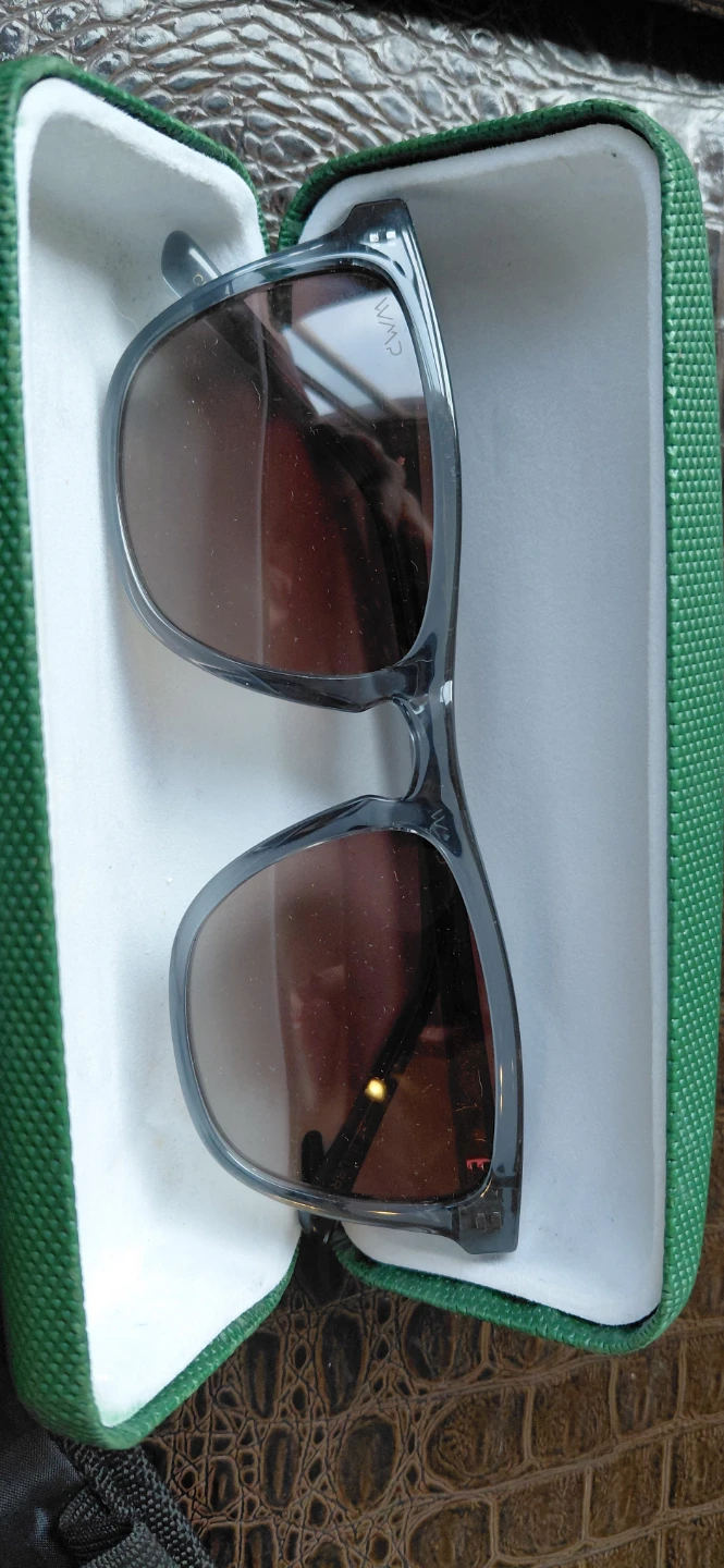 WMD Sunglasses with Case