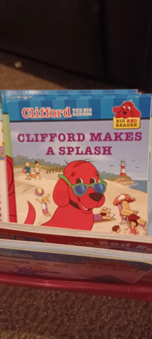Box of Clifford books