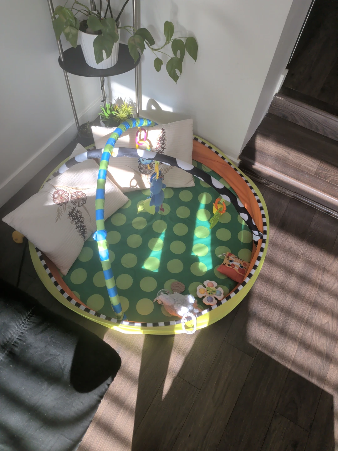Baby Play Mat with Arch and Toys
