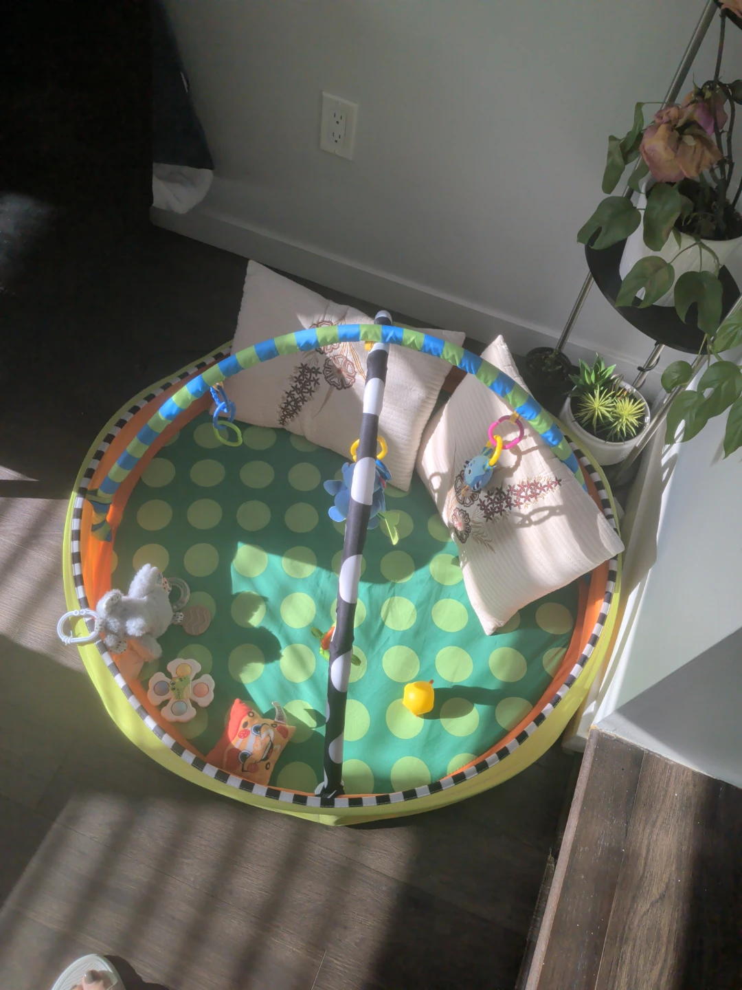 Baby Play Mat with Arch and Toys - photo 2