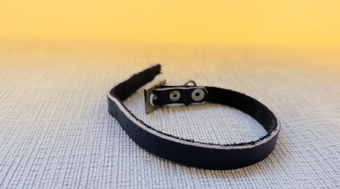 Navy Blue Leather Small Collar with Silver Buckle - photo 4