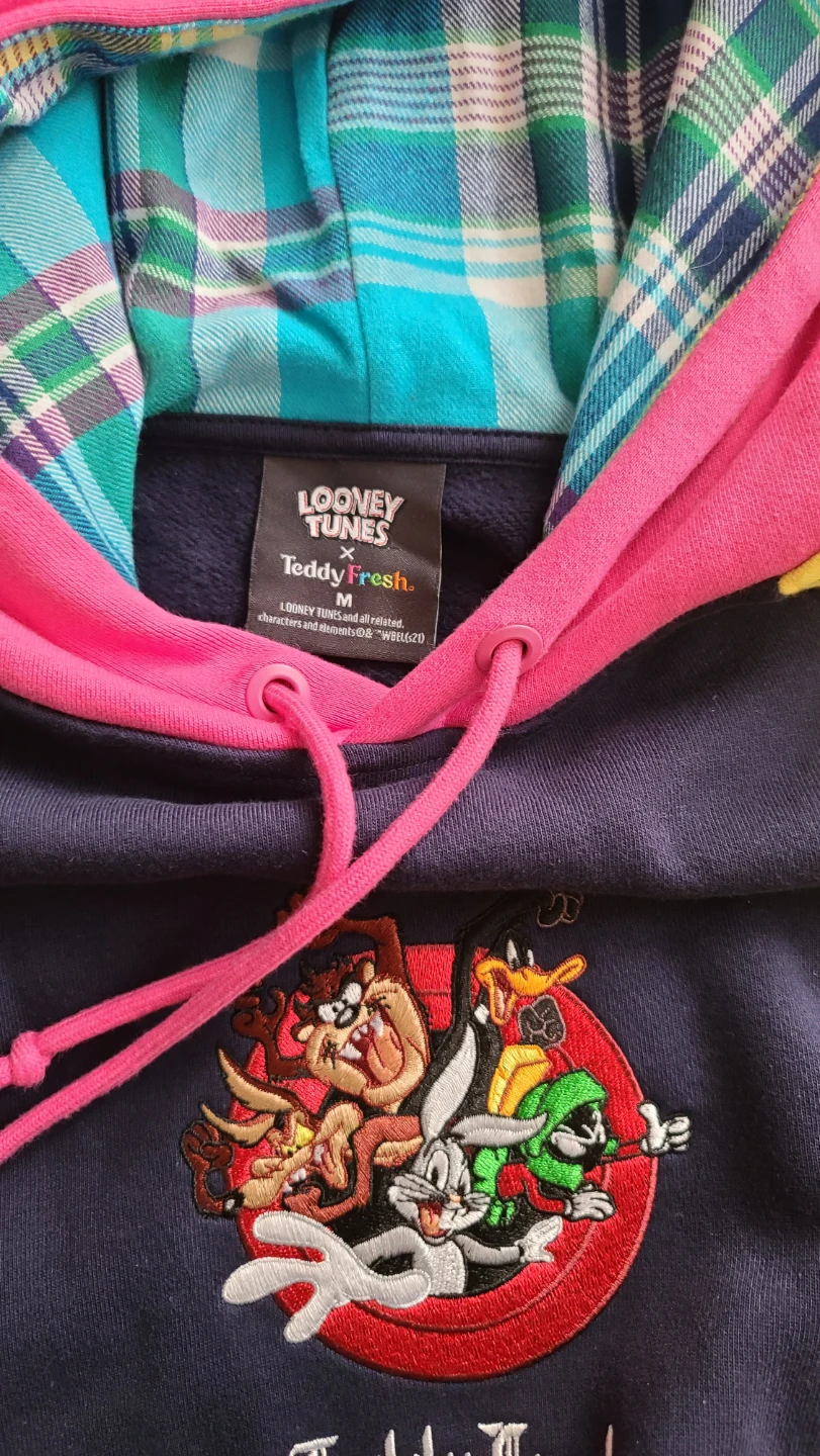 Teddy Fresh x Looney Tunes Hoodie & Sweatpants Set - photo 5