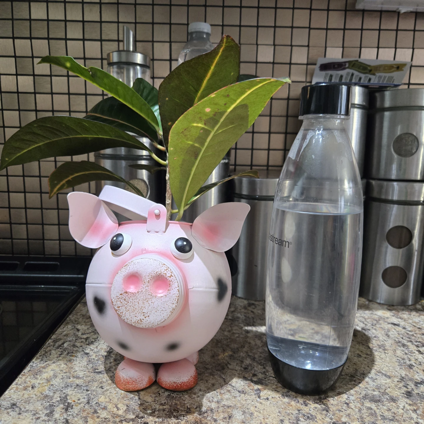 Pink Pig Planter Pot