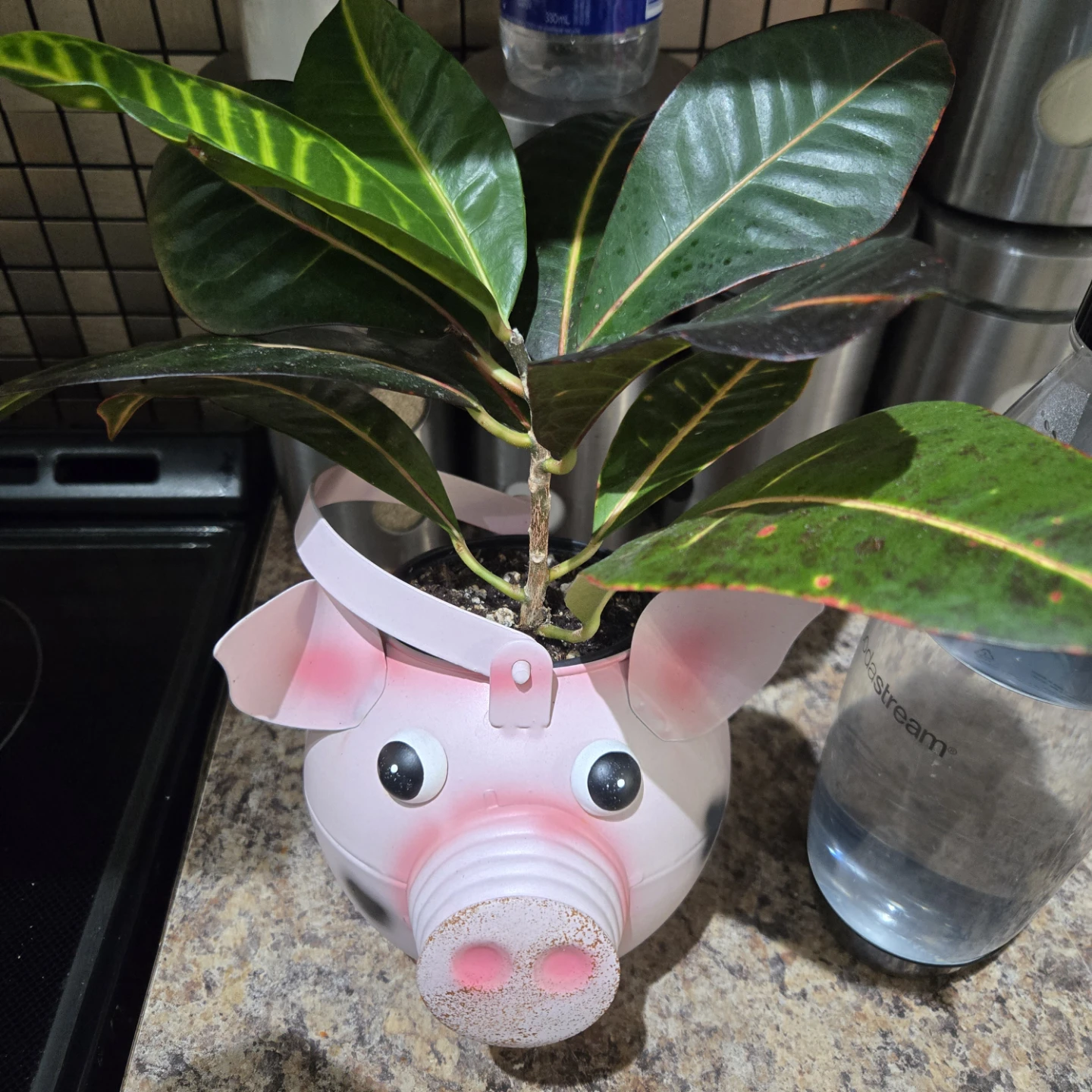 Pink Pig Planter Pot - photo 2