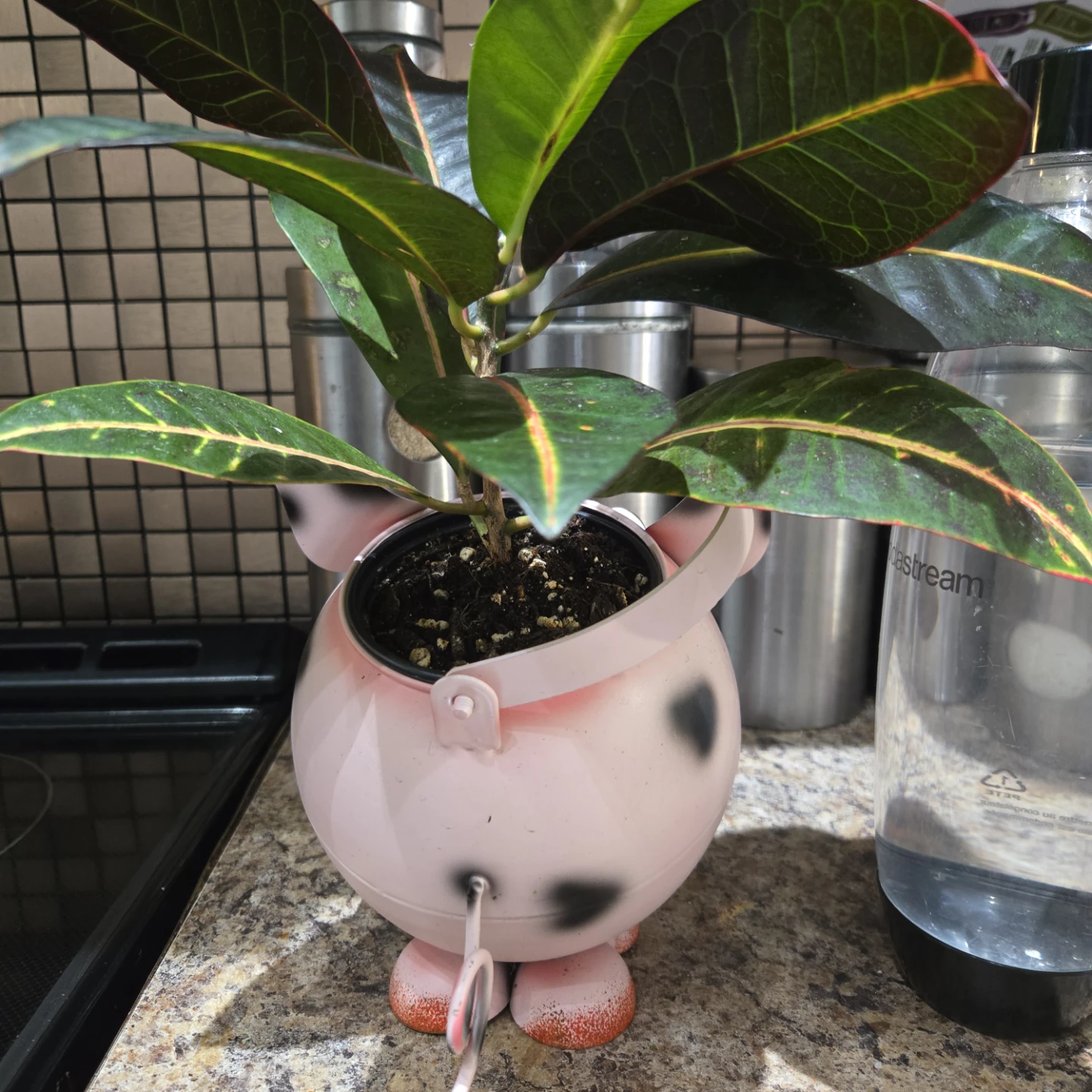 Pink Pig Planter Pot - photo 4