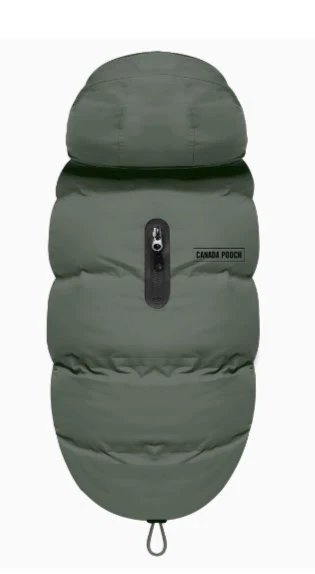 Canada Pooch Dog Winter Jacket and Raincoat - photo 3