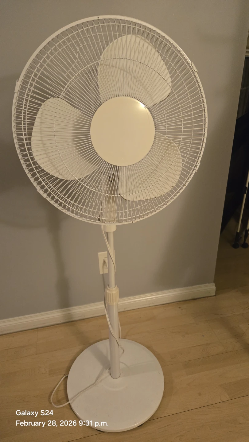 White Pedestal Fan