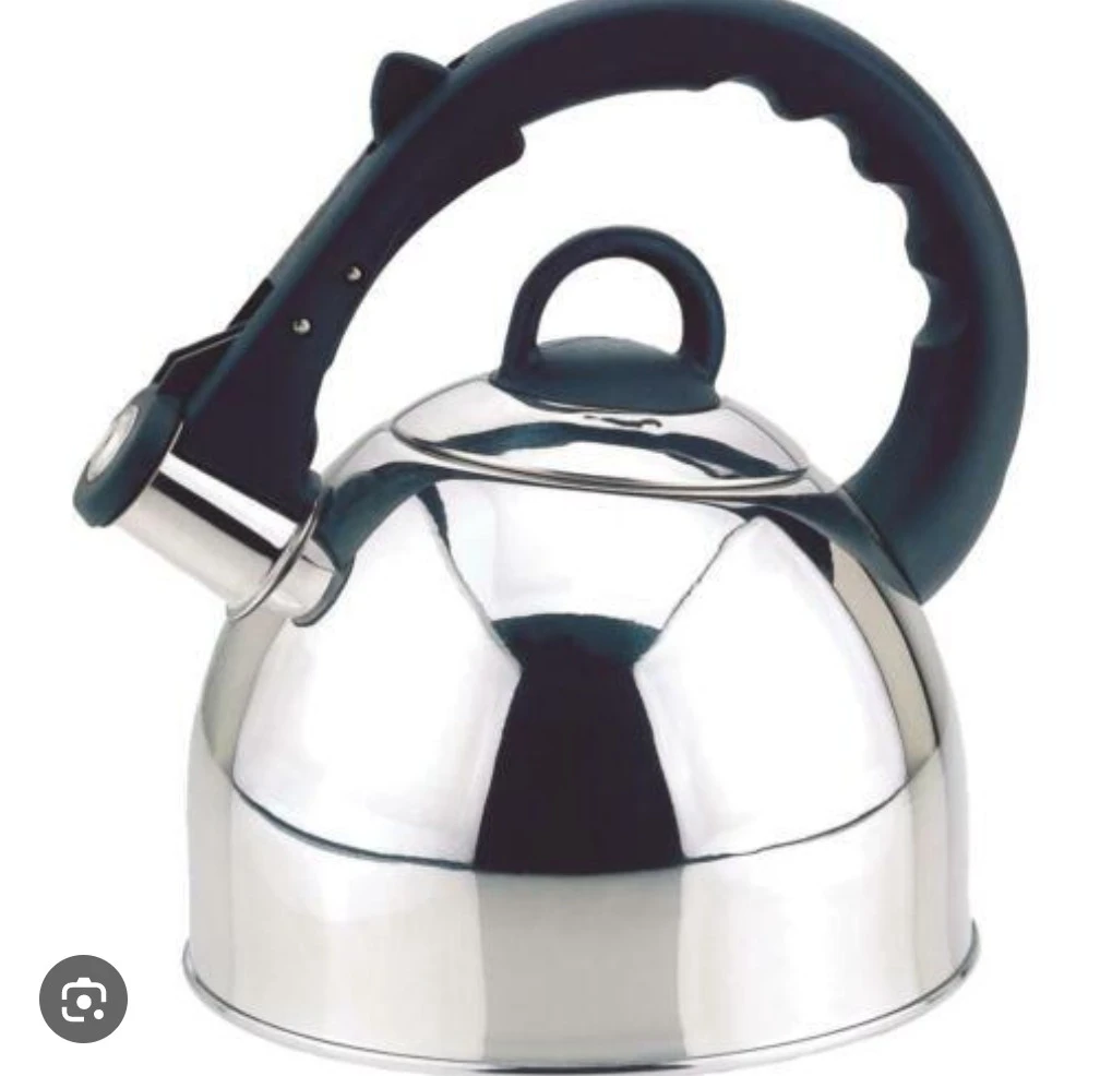 Stainless Steel Tea Kettle 🏆