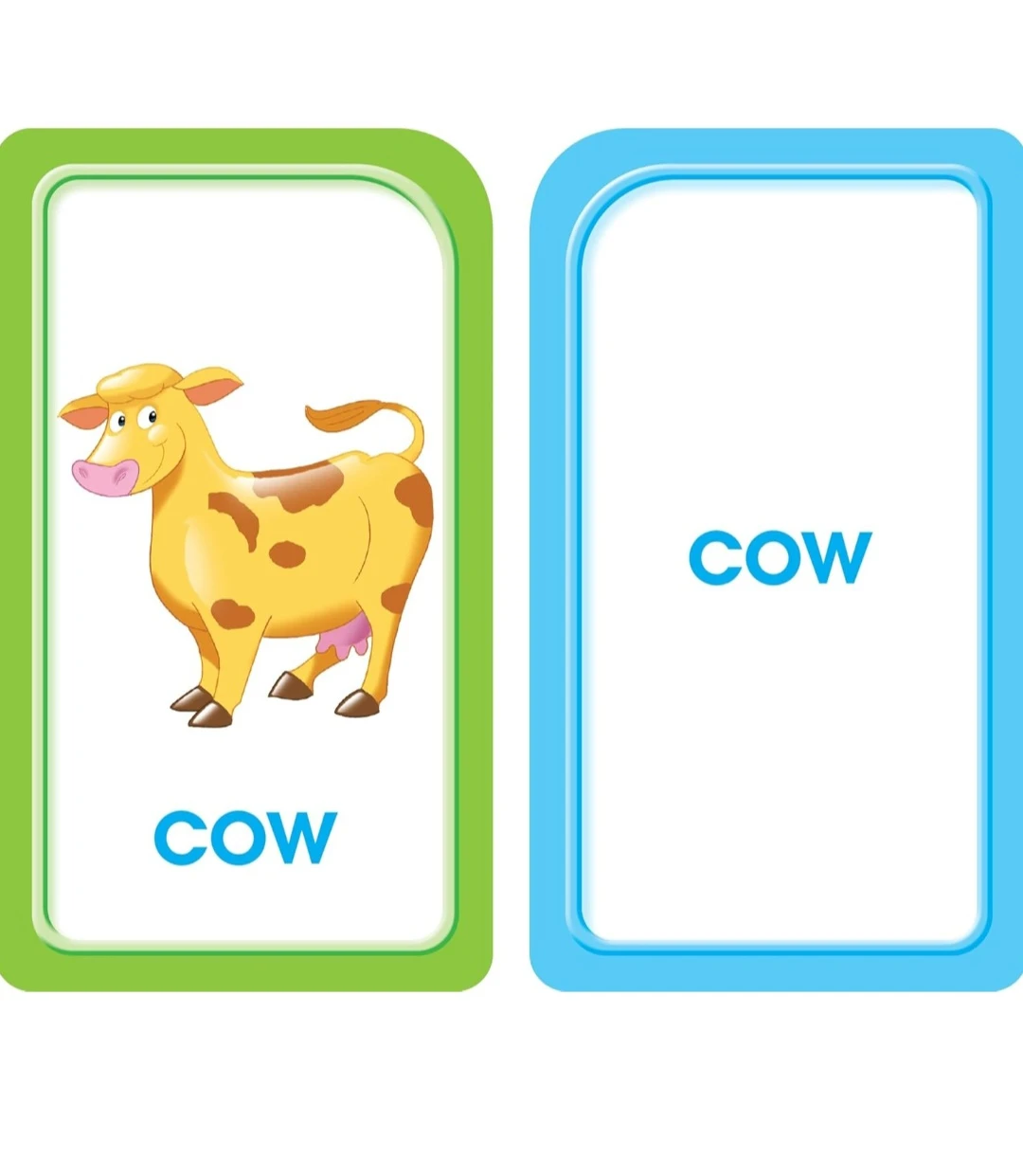 Picture Words Flash Cards - photo 2
