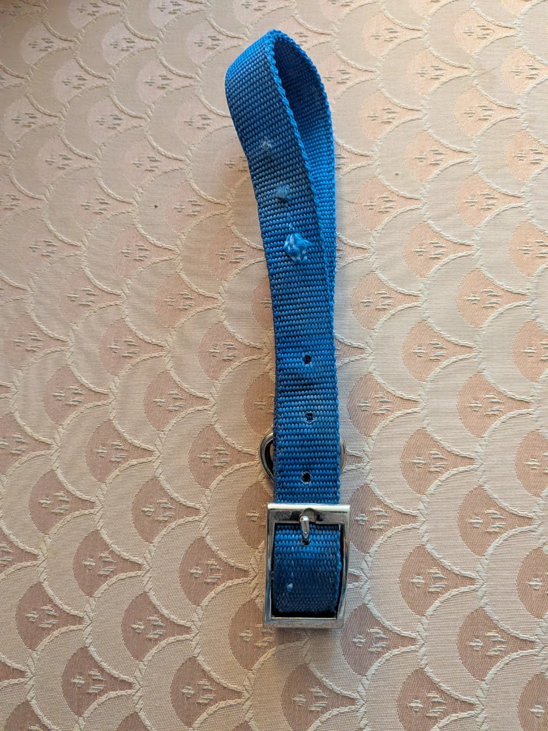 Blue Adjustable Dog Collar - photo 3