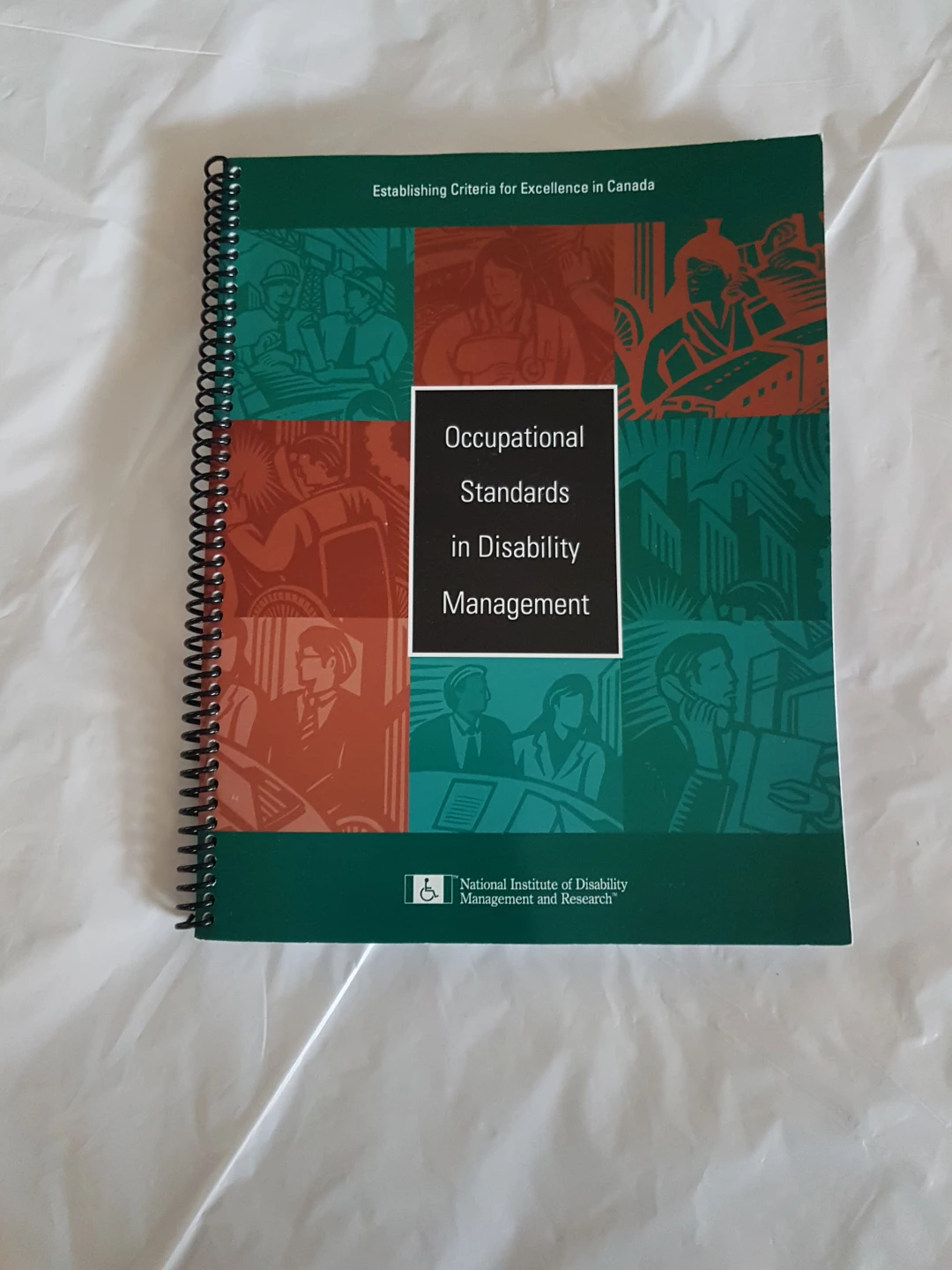 Occupational Standards in Disability Management Book
