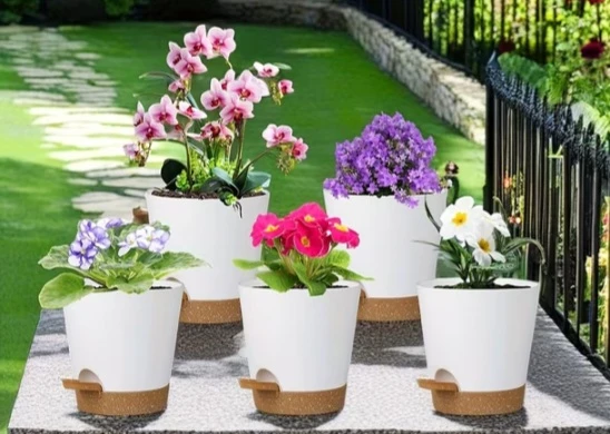 🧡White Planter Pot with Saucer, 5-pack. - photo 3