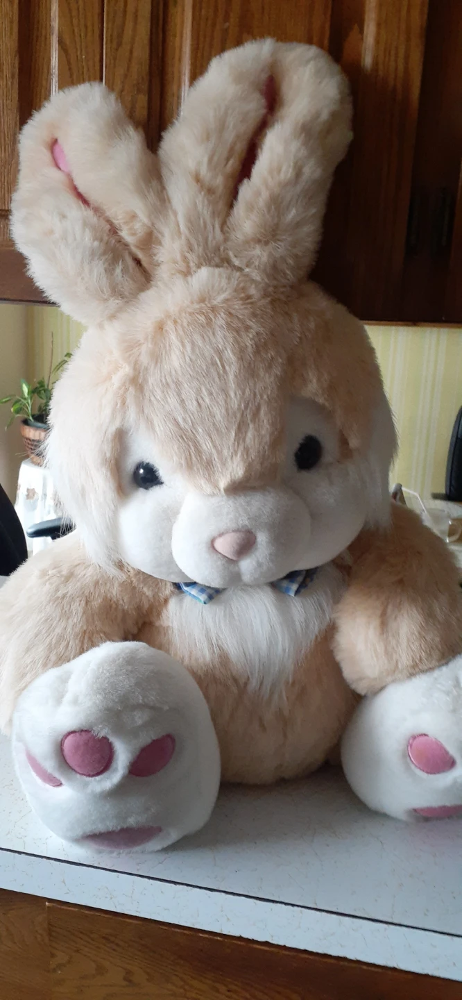 Plush Bunny Toy