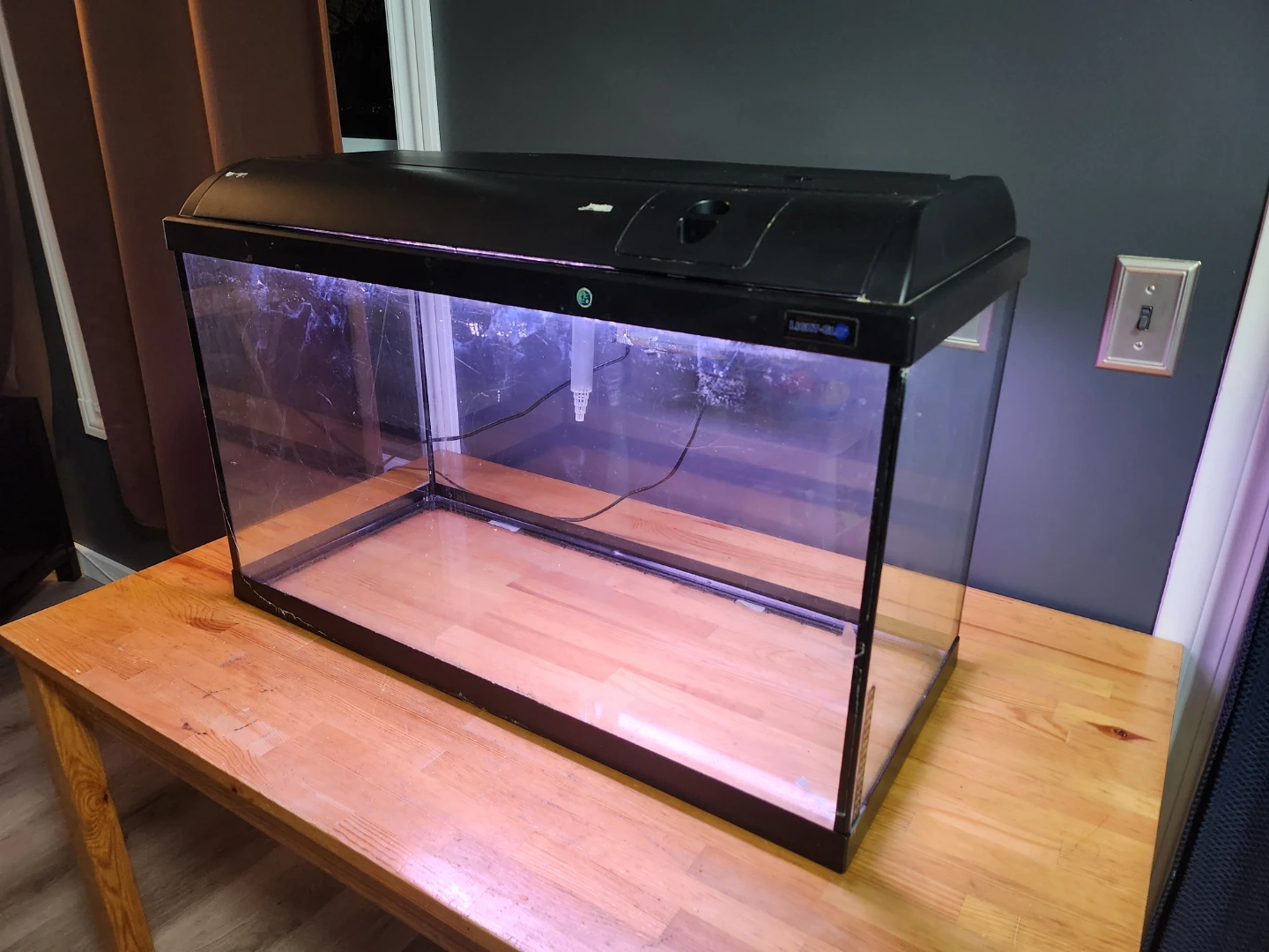 Aquarium Tank with Filter and Light (29 Gal)