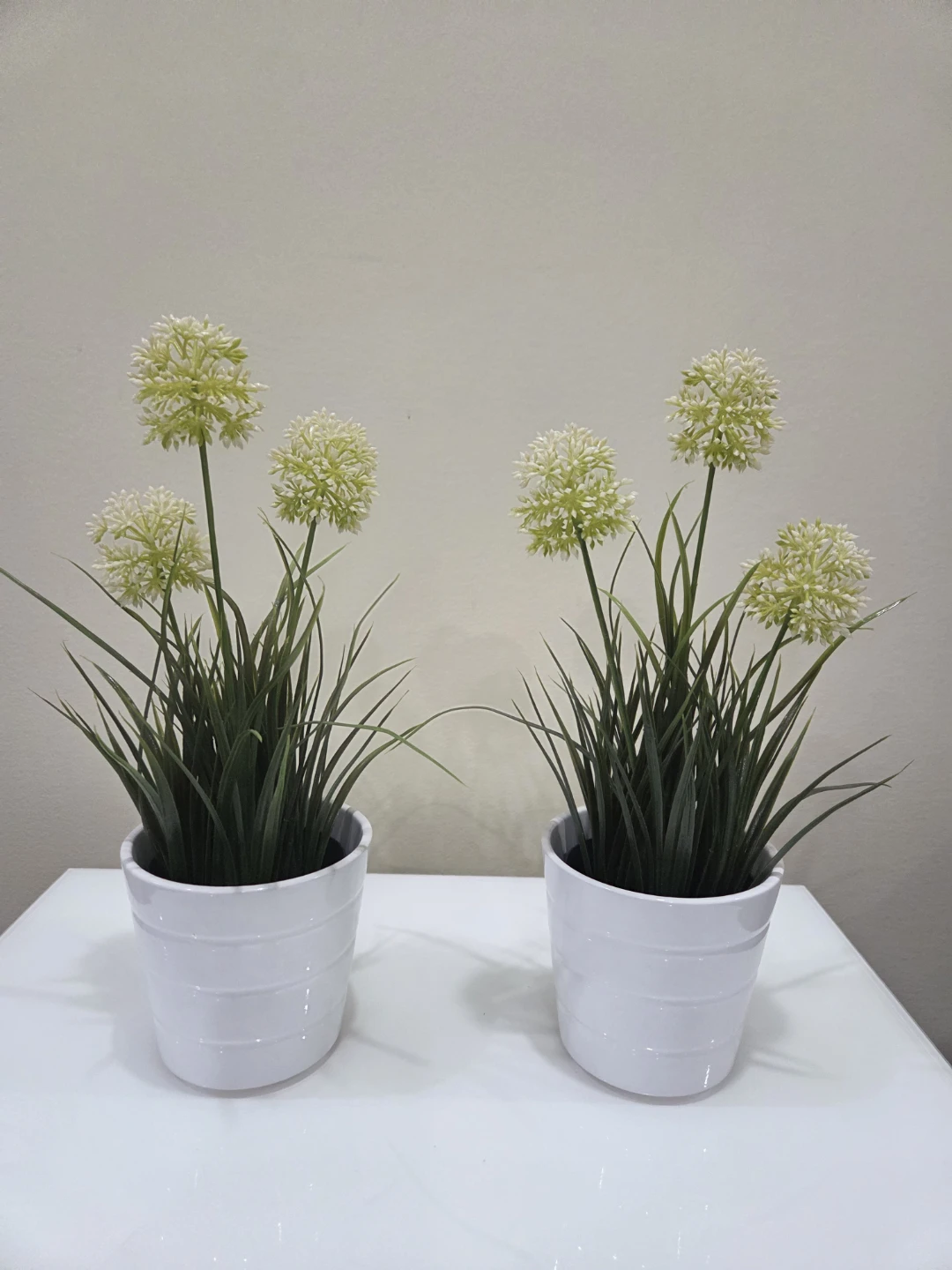 Set of 2 White Potted Artificial Allium Flowers