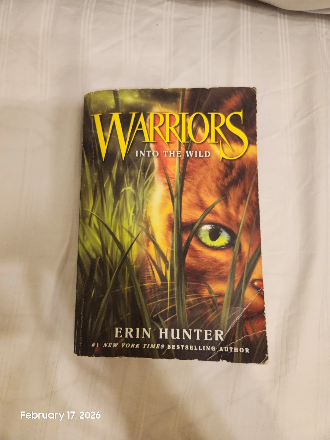 Warriors Book Series by Erin Hunter - photo 2