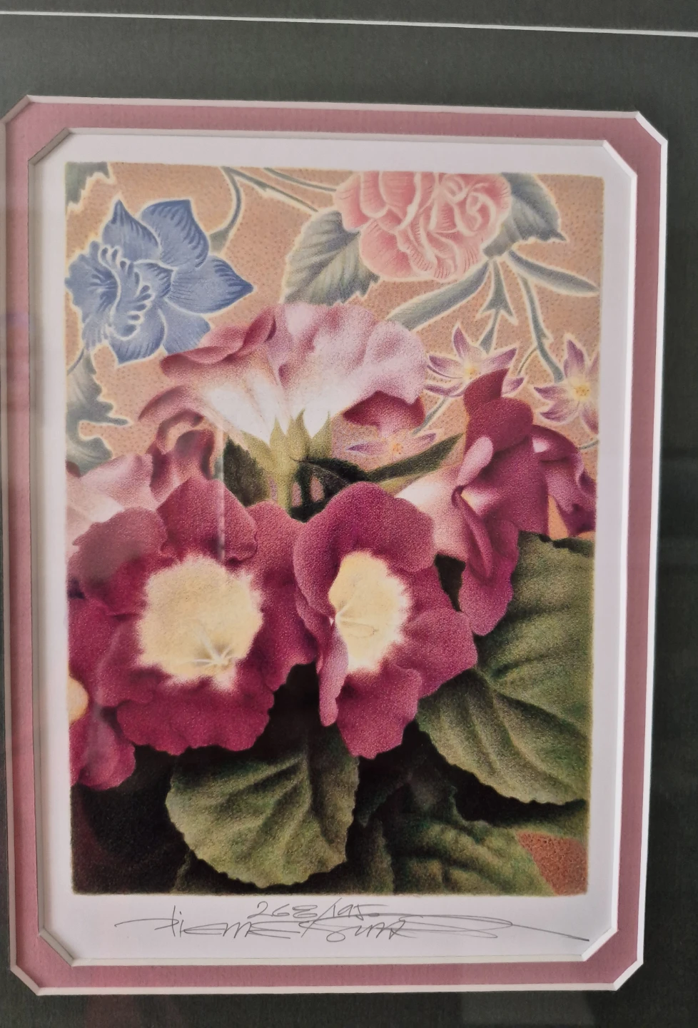 Limited edition art print  Gloxinia in Bloom - photo 2