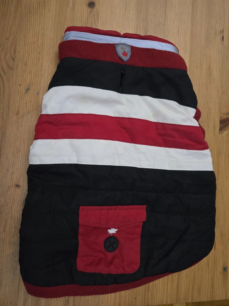 Dog coat