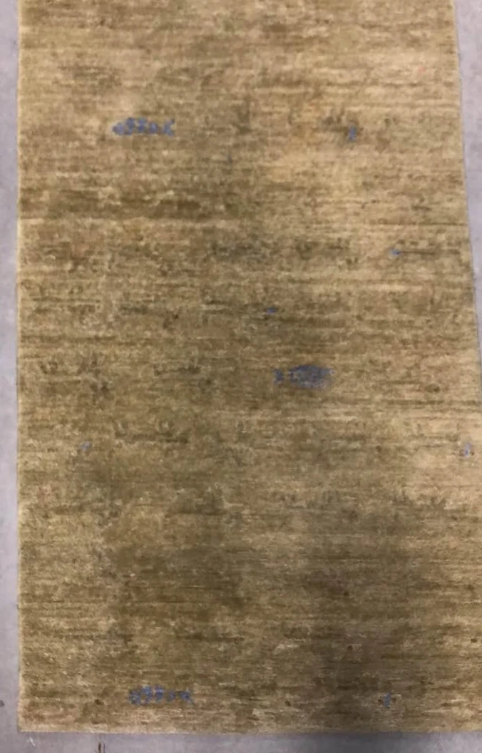 ODEGARD Area Rug - photo 5