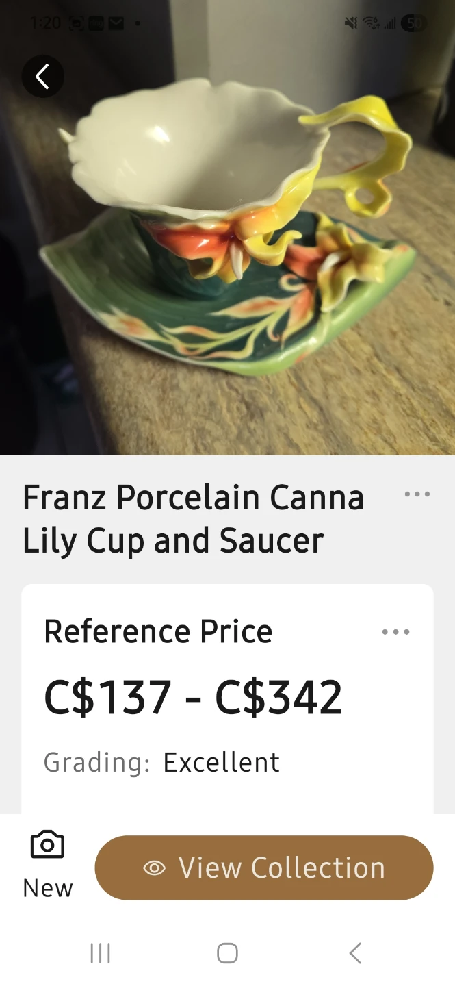 Franz Porcelain Canna Lily Cup and Saucer