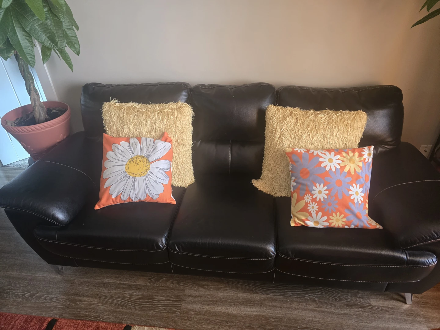 Set of 2 Decorative Throw Pillows