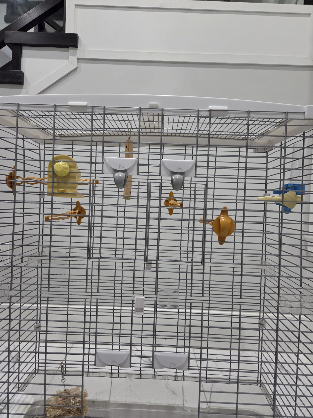 Bird cage with toys
