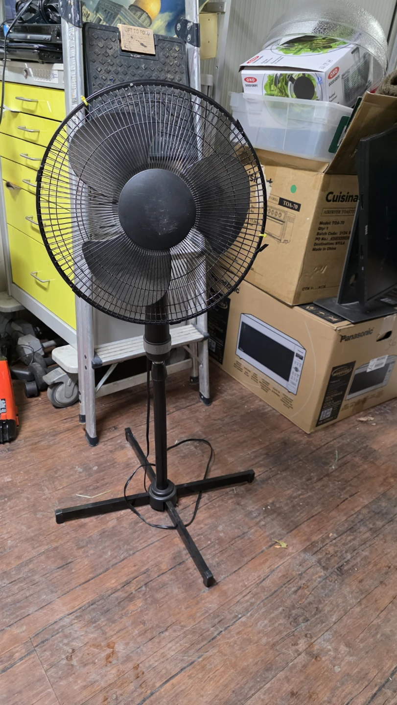 🥕  Black Oscillating Pedestal Fan carrot 🥕