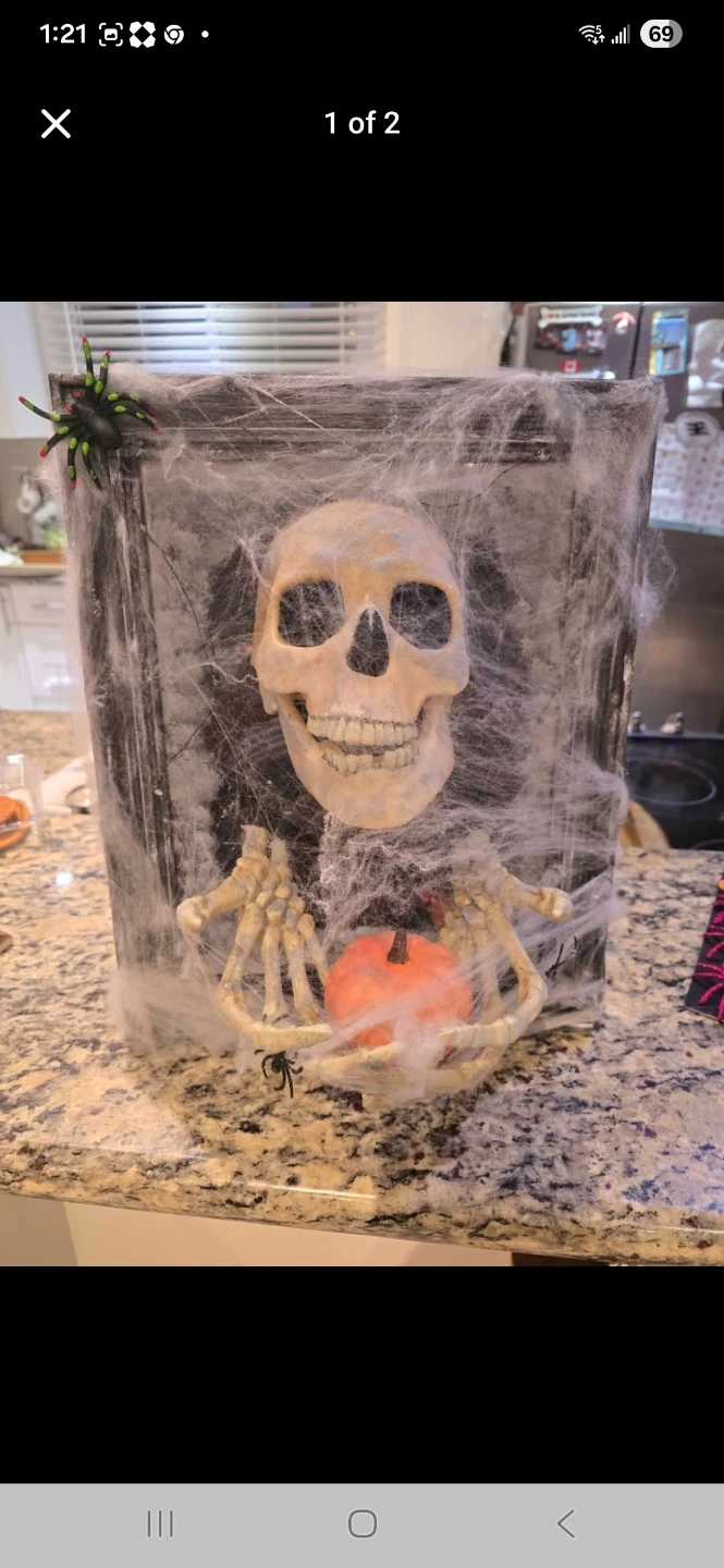 Halloween Decoration - Skull and Spider Display