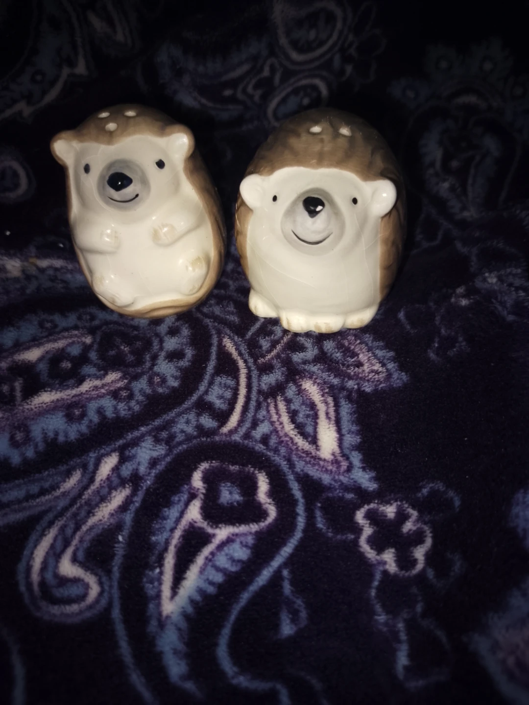 Hedgehog Salt and Pepper Shakers