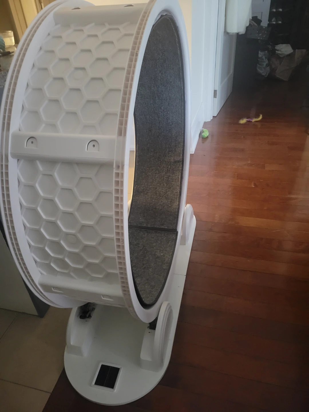 Cat Exercise Wheel
